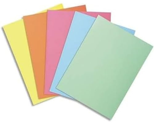 EXACOMPTA Paquet 250 sous-Chemises 22 x 31 cm Super 60 Assorties 5 couleurs
