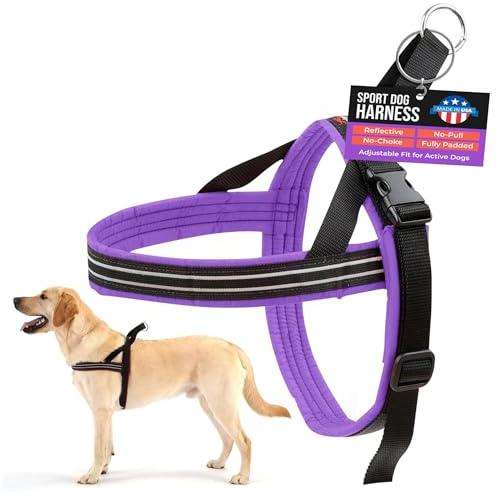 ComfortFlex Sport Dog Harness – No-Choke, Fully Padded, Non-Chafing Harness with Control Handle – Reflective, Lightweight, Adjustable for Active Dogs – Medium, Purple