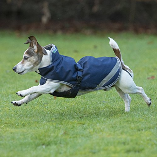 Bucas Freedom Dog Rug 300g, Navy/Silver (50)