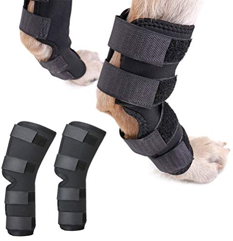 Zunea 2Stück Hund Hunde hinten Bein Hock Bandage Hinterbein schützt Wunden Wrap Kompression Klammer heilt für Wunde Verletzungen und Verstauchung Heilung von Arthritis Schwarz M