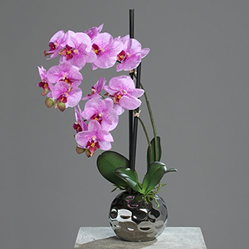 mucplants Orchidee Kunstpflanze Phalaenopsis Pink mit Real-Touch-Beschichtung H. 50cm Keramiktopf Silber Kunstblume
