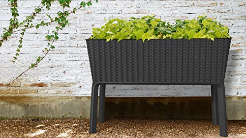 KETER - Jardinière Splendor Graphite 114 x 49,3 x 75,7 cm