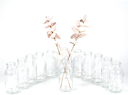 gouveo 12er Set Glasvasen VaseMini100 - Runde Blumenvasen aus Glas - Kleine Deko-Vasen für Zuhause, Hochzeiten, Geburtstage, Feste (VM100)