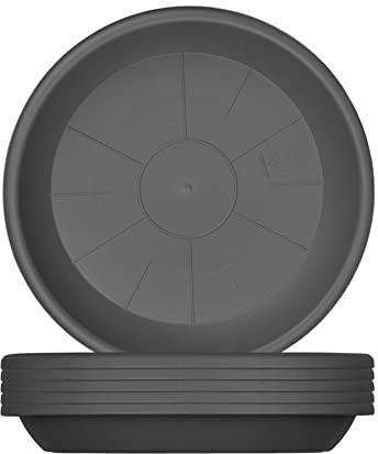 BigDean 6X Blumentopf Untersetzer Ø 24 cm Anthrazit für Ø 25 cm Töpfe | Kunststoff Blumenuntersetzer rund, Stabile Blumentopfuntersetzer, Robust & Langlebig, UV Beständig, Wetterfest
