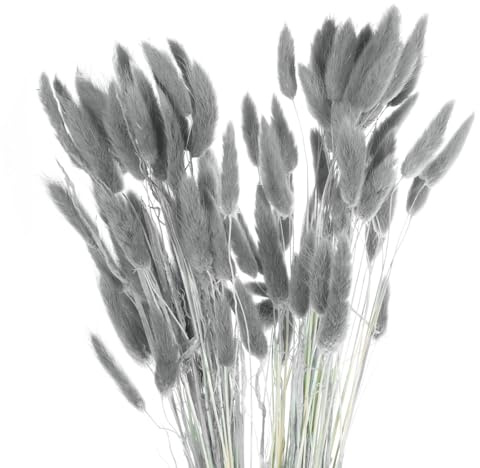 QUARKZMAN Hasenschwanzgras Getrocknet - Grau, 120 Stück Getrocknete Blumen, 45cm Pampasgras Natürlicher für Florale Hochzeitsdekoration Weihnachten