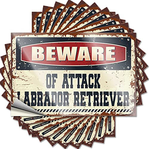 Adesivi inappropriati Beware of Attack Labrador Retriever, adesivi divertenti per cassetta degli attrezzi, cartelli per casa e bar (12 x 18 cm)