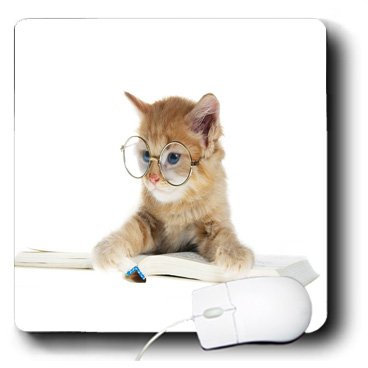 3dRose LLC 8 X 8 X 0.25 Inches Orange Tabby with Glasses Reading A Book Mouse Pad (mp_101745_1)
