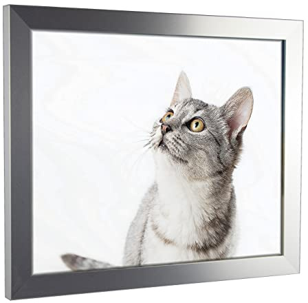 myposterframe Komfort Juno 70 x 100 cm Rahmen Alu gebürstet