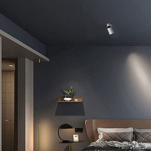 TXCLTS Spotlight a monte poco profonde a led Lampada da soffitto 12W, illuminazione a punto regolabile Accendio INDIZIONE IN IN INVIO, SPEGNO DI REGISTRAZIONE PER Galleria di corridoio Camera da letto