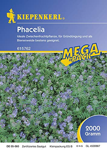 Kiepenkerl 615762 Phacelia 2 kg (Phaceliasamen)