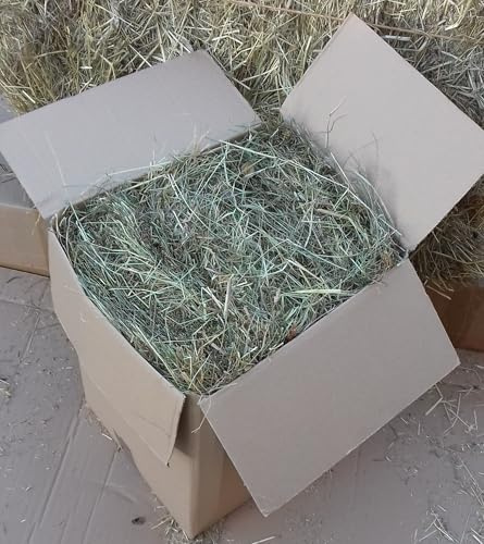 Foin sans aditifs pour Lapins, Hamsters, Chinchilla, Rongeurs, Herbivores - Boite de 2,6kg de Foin - Livraison en Relais Pickup
