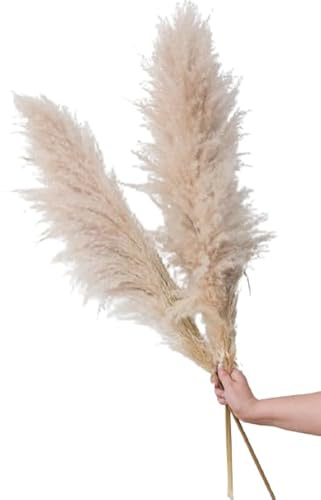 Ramo Artesanal de 5 Unidades de Plumero Seco Ideal para Decorar Hogares Modernos