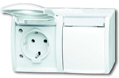 Busch-Jaeger 20/2 EWN-54 SCHUKO® Steckdose 2-fach (Thermoplast) Alpinweiß ocean® (IP 44) 2CKA002084A0715