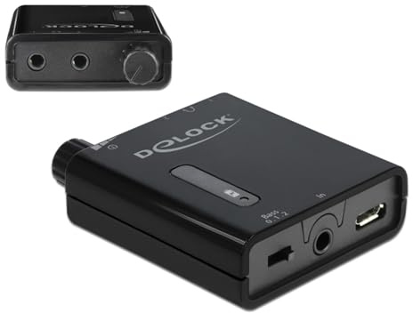 DeLOCK Tragbarer Stereo Kopfhörer-Verstärker mit Zwei Ausgängen und Bass-Boost