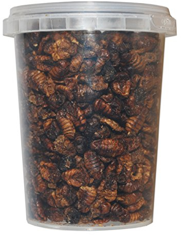 500 ml Seidenraupenpuppen/Silkworm gefriergetrocknet gefriergetrocknete/getrocknet | Reptilienfutter, Schildkrötenfutter, Futtertiere Igelfutter Vogelfutter/Seidenraupen Koifutter Fischfutter
