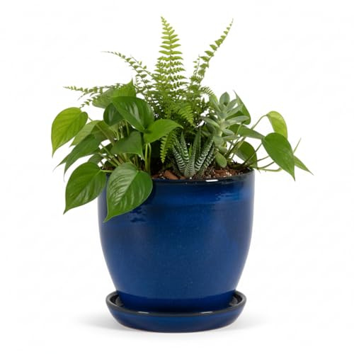 Växtkruka ytterkruka blomkruka av stengods blå vit antracit svart 23 cm – 37 cm frostbeständig (kungsblå, 23 cm x 20 cm)