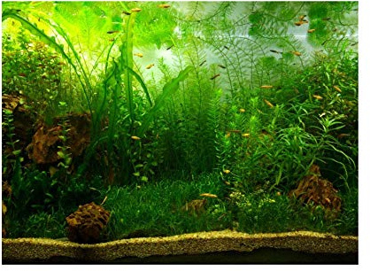 Hztyyier Aquarium-Hintergrundposter, Wassergras-Stil, 3D-Effekt, Selbstklebendes Poster, Aquarium-Hintergründe, Tapete
