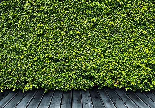 wandmotiv24 Fototapete Grüne Mauer, 200 x 140cm - selbstklebende Strukturtapete, Wanddeko, Wandbild, Wandtapete, Natur, Grüne-wand, Pflanzen M0572
