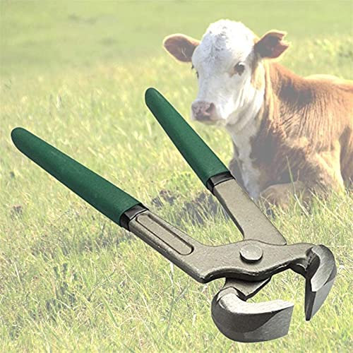 Alicates para cortar pezuñas, pinzas para caballos, herramienta para herradores de caballos, cortador de acero para pezuñas de 8 , kit de herramientas para herradores de caballos, limpieza de uñas,