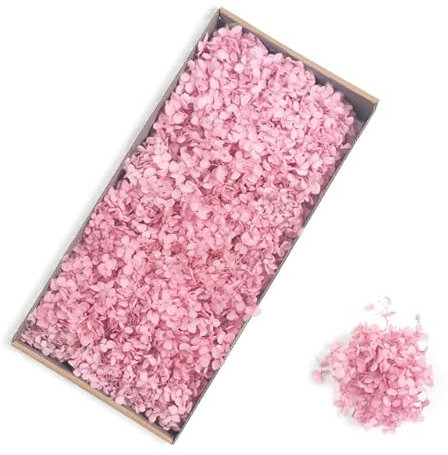 RIDAEX Fleur d'hortensia séchée Naturelle, 90-100g, Bouquet de Fleurs Fait à la Main, matériel de Fleur Immortelle, décoration de Mariage