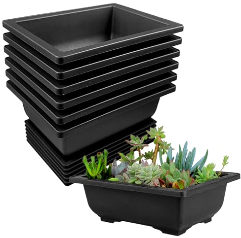 6 Stück Bonsai Schale, 16x12x6cm Topf Mit Tabletts, Kunststoff Pot, Wiederverwendbar Töpfe Geeignet für Gärten Innenhöfe Büros Wohnzimmer Balkone (Schwarz)