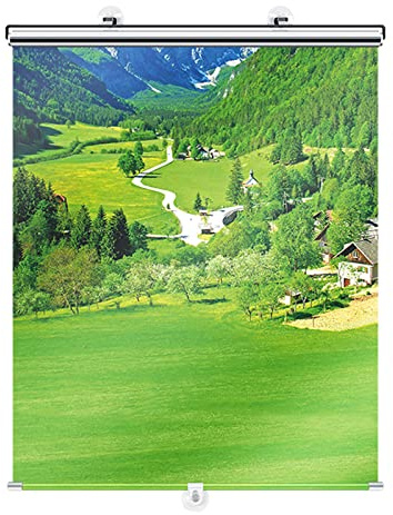 DANEXT Sonnenschutz Rollo Verdunkelungsrollo,Thermo Rollo Verdunklungsstoff Verdunkelung ohne Bohren Hitzeschutzrollo mit Saugnäpfen,Für Auto,Büro,Balkon,Dachfenster,Tragbare Reise (68×125cm/27×49in)