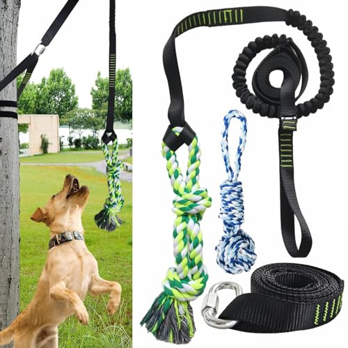 TUAHOO Giocattolo elastico per cani da solo appeso all'albero, giocattolo interattivo per tiro alla fune per cani di piccola e grande taglia, corda da tirare con 2 giocattoli in corda per cani
