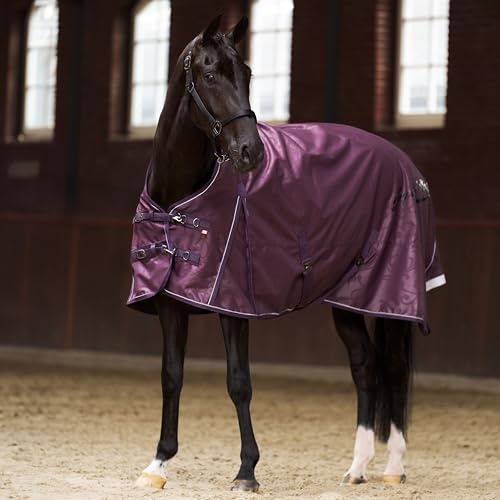 Imperial Riding Outdoordecke IRH Super-Dry 200 g, wasserdicht & atmungsaktiv, 600D Polyester 200 g Füllung, robuste Winterdecke für Pferde, Elegantes Design & Bequeme Passform, Feige, 155