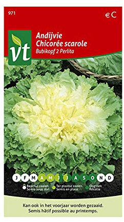 Escarola Bubikopf 2 Semillas Perlita