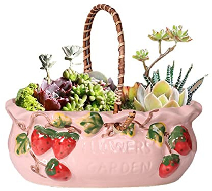Sizikato Stoneware Porcelain Flowerpot with Handle, 7.3-Inch Succulent Planter, Red Strawberry Embossed