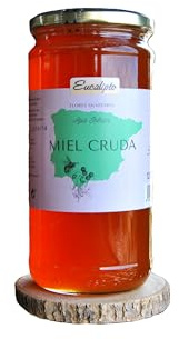 Miel Pura de Abeja-100% Origen España-Miel Cruda-1Kg-Miel Natural-Directa de Apicultor-Sin Procesar-Sin Pasteurizar. (Kg, Eucaliptos)