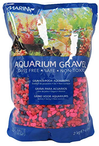Marina Gravier décoratif pour Aquarium de