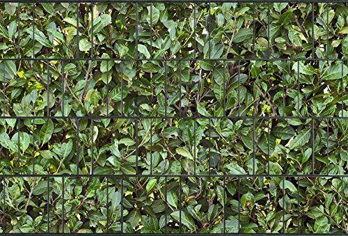 Zaundruck Sichtschutzstreifen Polyester - nachhaltiger Sichtschutz für Doppelstabmattenzaun - Motiv Windschutz 26 m x 19 cm - Sichtschutz-Rolle - Kirschlorbeer