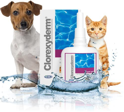 ICF Clorexyderm Spot Gel 100 ml – Gel Disinfettante e Idratante per Cani e Gatti – Adesione Prolungata per Zone Sensibili come Pliche, Zampe e Orecchie