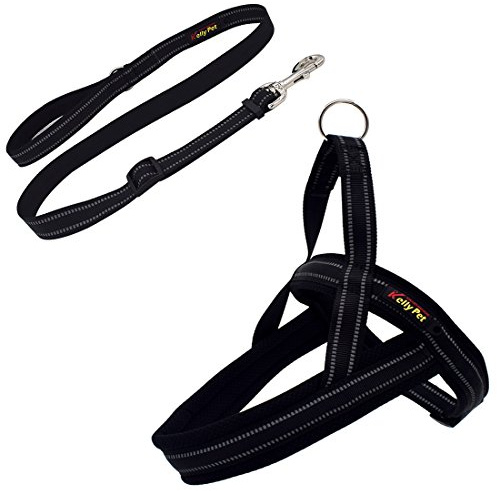 Welpengeschirr Hundegeschirr Reflektierende Brustgeschirre Training Laufgeschirre Sicher Vest für Kleine Mittlere und Große Hunde No-Pull-Geschirr Verstellbares mit Hundeleine (XS, schwarz)
