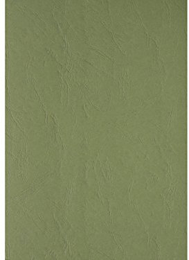 100 PREMIUM Einbanddeckel Lederstruktur A4, 240g/m², 297 x 210 mm, Rückenkarton (Grün)