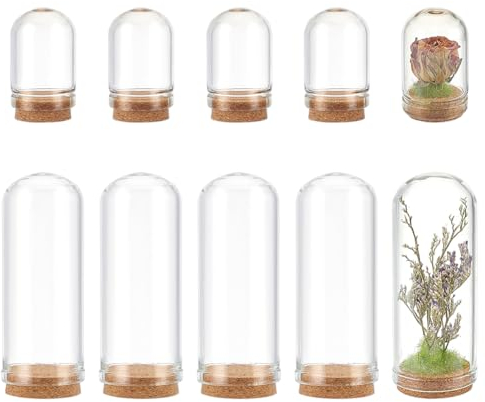 nbeads 10 Stück 2 Größen Glaskuppel-Cloche-Abdeckung, Klare Glaskuppel Mit Korkboden Glockenglas Bogen Glasabdeckung Für Trockenblumen Weihnachten Heimdekoration Halloween-Dekorationen