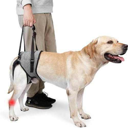 Hundehebegeschirr, Verstellbare Tragegeschirr Hund, Hundegeschirr Grosse Hunde Mit Schwammgriff, Tragbares Hundegeschirr für die Hinterbeine Kranke Oder Operierte Hunde