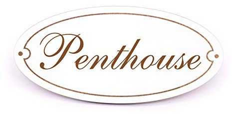 Schild Türschild Oval - Penthouse - selbstklebend Dekoschild 15x7cm