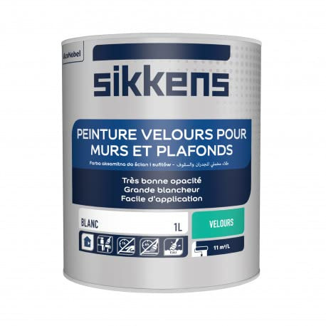 Peinture murs et plafonds 1L Blanc velours