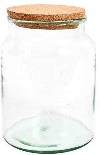Halboffene Terrarium Flasche Glas 5L Pflanzen Deko Gewächs Haus Blumen Kork Haus