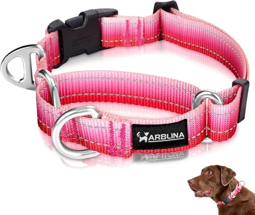 Arblina Martingale Hundehalsband, Reflektierendes Zugstopp Halsband Hunde für Große Mittlere und Kleine Hunde, Nylon Zughalsband mit Stopp für Hunde Whippets, Greyhounds, Saluki, Rosa,S