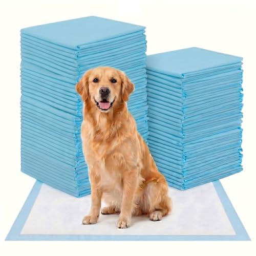 Hundträningskuddar 60 x 90 cm 60 stycken XXL valpunderlägg