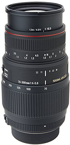 Sigma 70-300 APO DG - Objetivo para Nikon (70-300mm, f/4-5.6, Macro), Color Negro