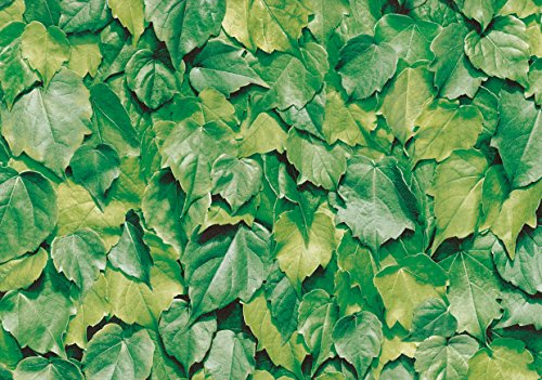 Furniture Adhesive Protective Film, Leaves, 45 cm x 2 mt