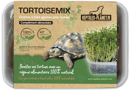 Reptiles Planet - Tortoisemix - Kit de Semillas para Germinar para Tortugas