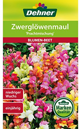 Dehner Blumen-Saatgut, Zwerglöwenmaul Prachtmischung, 5er Pack (5 x 0.6 g)
