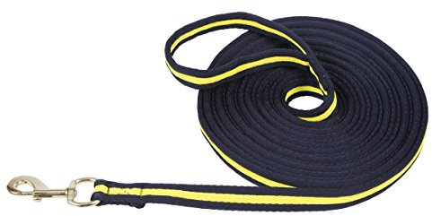 Kerbl 321492 Softlonge 8 m, blau / gelb