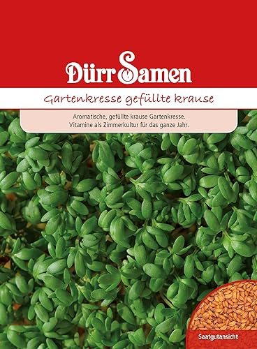 Gartenkresse Samen Gefüllte Krause Kressesamen ca 15000 Korn Küchenkräuter Kräutersamen Saatgut Balkon Garten Hochbeet Kübel Dürr Samen