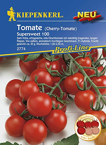 Tomate Supersweet F1 Kirsch